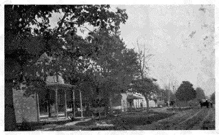 Sickels Looking East - Hamilton Twp. Gratiot Co. Michigan